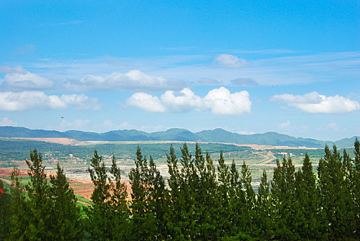soi cau dng