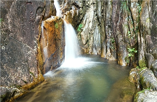 soi cau lo