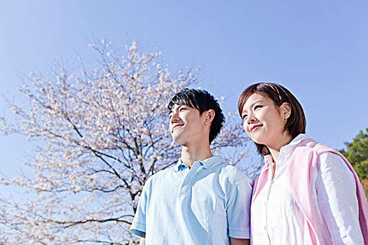 bình luận xổ số miền bắc