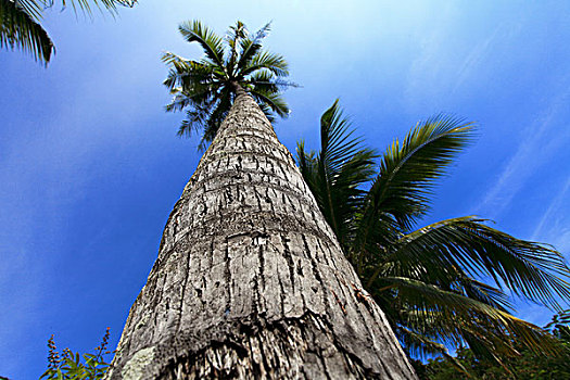 xổ số vũng tàu