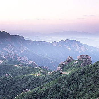 xs minh ngoc thu 7
