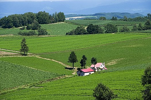 kết quả xổ số trà vinh