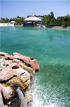 soi cau mb bach thu