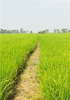 đánh lô đề miền bắc