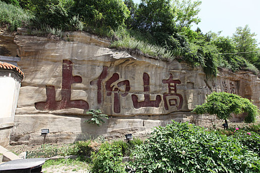 soi cau 888