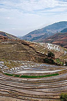 lo chinh xac 100