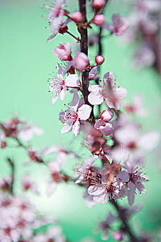 xổ số khánh hòa thứ tư