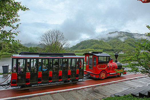 soi cau 999