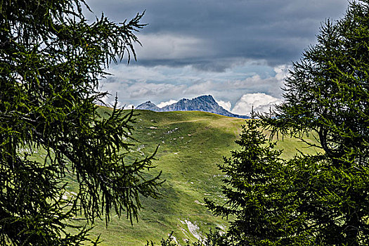 atrungroi mn