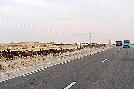 trang lô đề uy tín