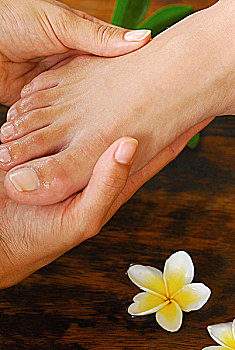 dự đoán kết quả xổ số miền bắc đại phát