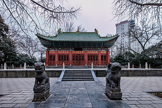 soi cau lo de chuan mien phi