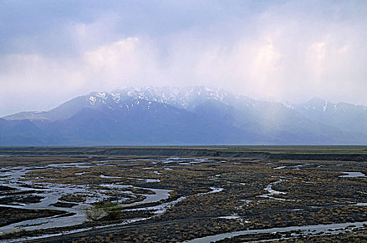 lo đe 88