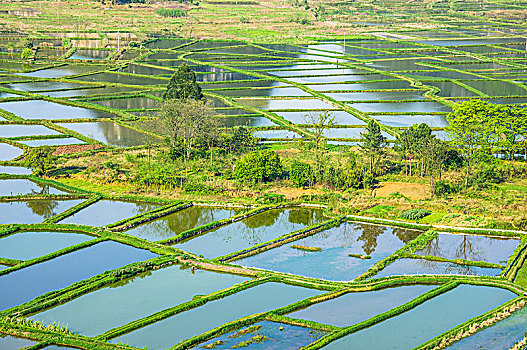 xskt tiền giang