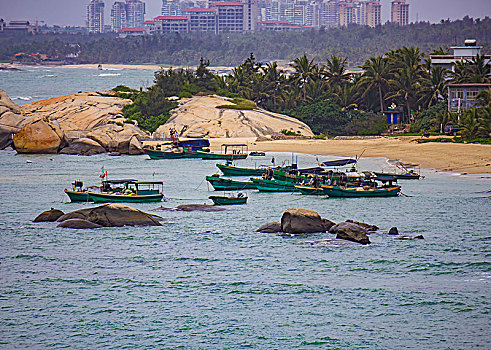 soi cau lo bach thu rong bach kim