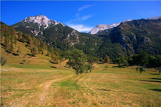 cap lo bach thu hom nay