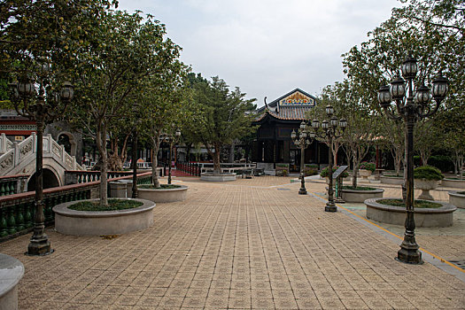 soi cau lô bạch thủ