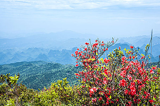 xs minh ngoc thu 3