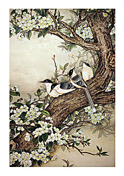 xổ số hôm