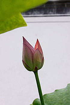 dàn đề chuẩn hôm nay