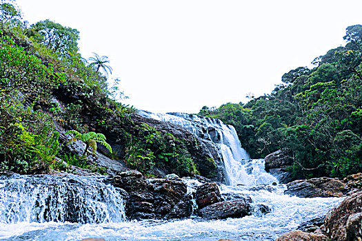 soi cau rong bach kim 666