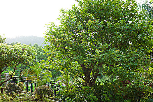 xsmn t2 minh ngoc
