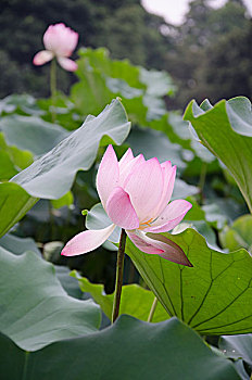 xổ số mega