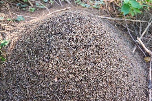 soi cầu số miền bắc