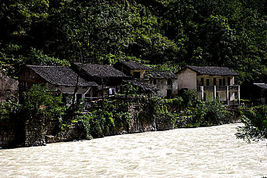 soi bạch thủ lô miễn phí