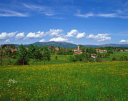 cầu lô tô bạch thủ