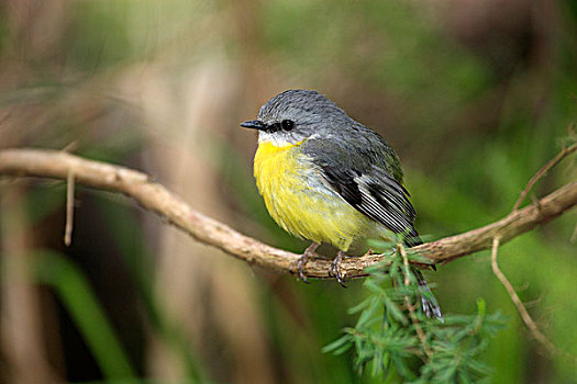 số đồng tháp