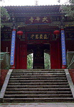soi cau bach thu