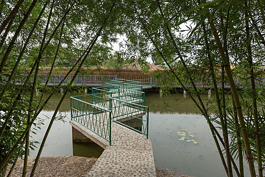 soi cau doan so 135