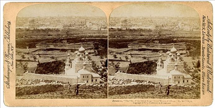 bạch thủ lô miền bắc