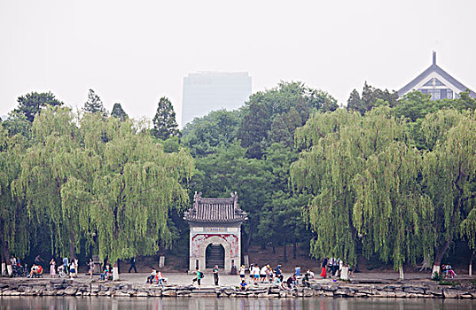 bạch kim lô đề