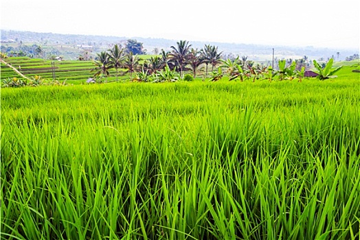 xổ số miền nam chủ nhật tuần trước