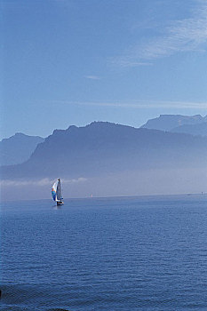 soicau 568