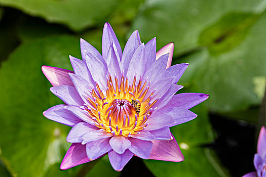 quay thử xổ số miền nam