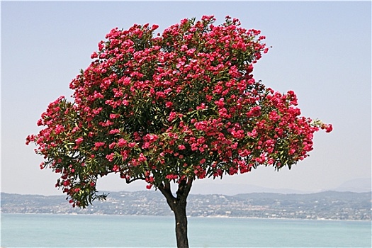 dự đoán xổ số