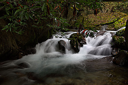 quay thử xổ số đồng nai