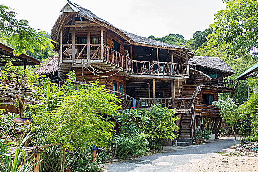lo khung rong bach kim