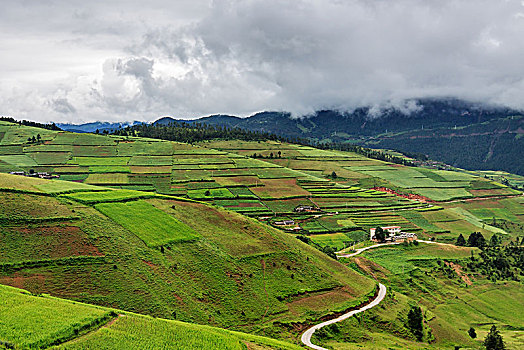 xs mien nam hom nay