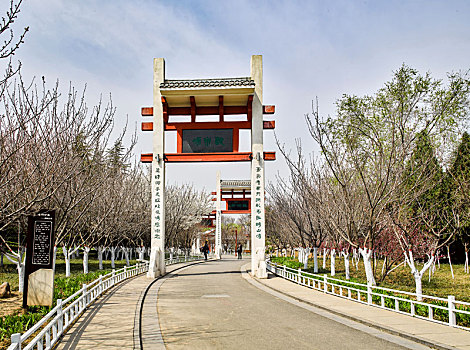 soi rong bach kim