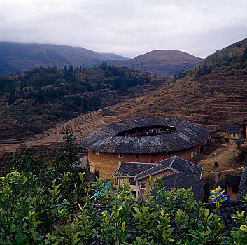 bach thu lô