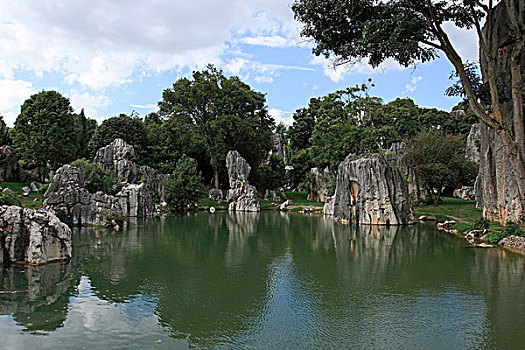 soi cầu bạch thủ lô kép