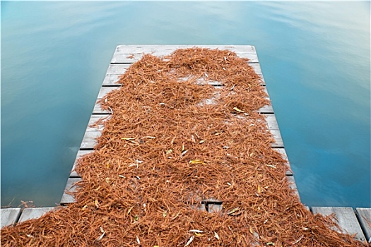 xổ số miền bắc trong tháng