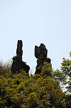 soi cau thong ke mb