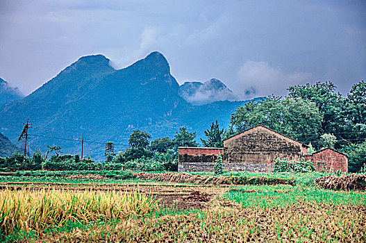 dự đoán bạch thủ miền nam