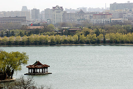 soi đề mb