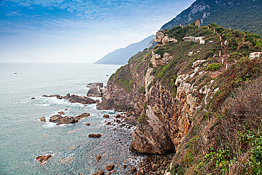 bạch thu lo